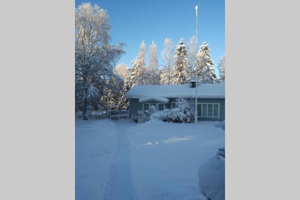 Arctic Circle Tranquillity Villa Rovaniemi Ngoại thất bức ảnh