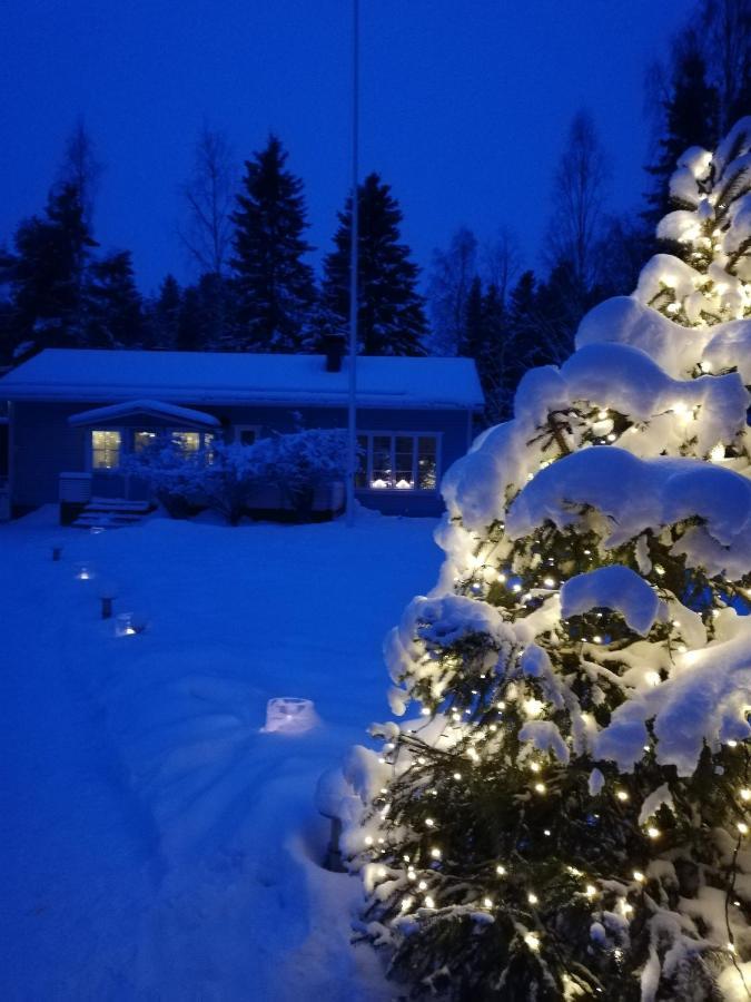 Arctic Circle Tranquillity Villa Rovaniemi Ngoại thất bức ảnh